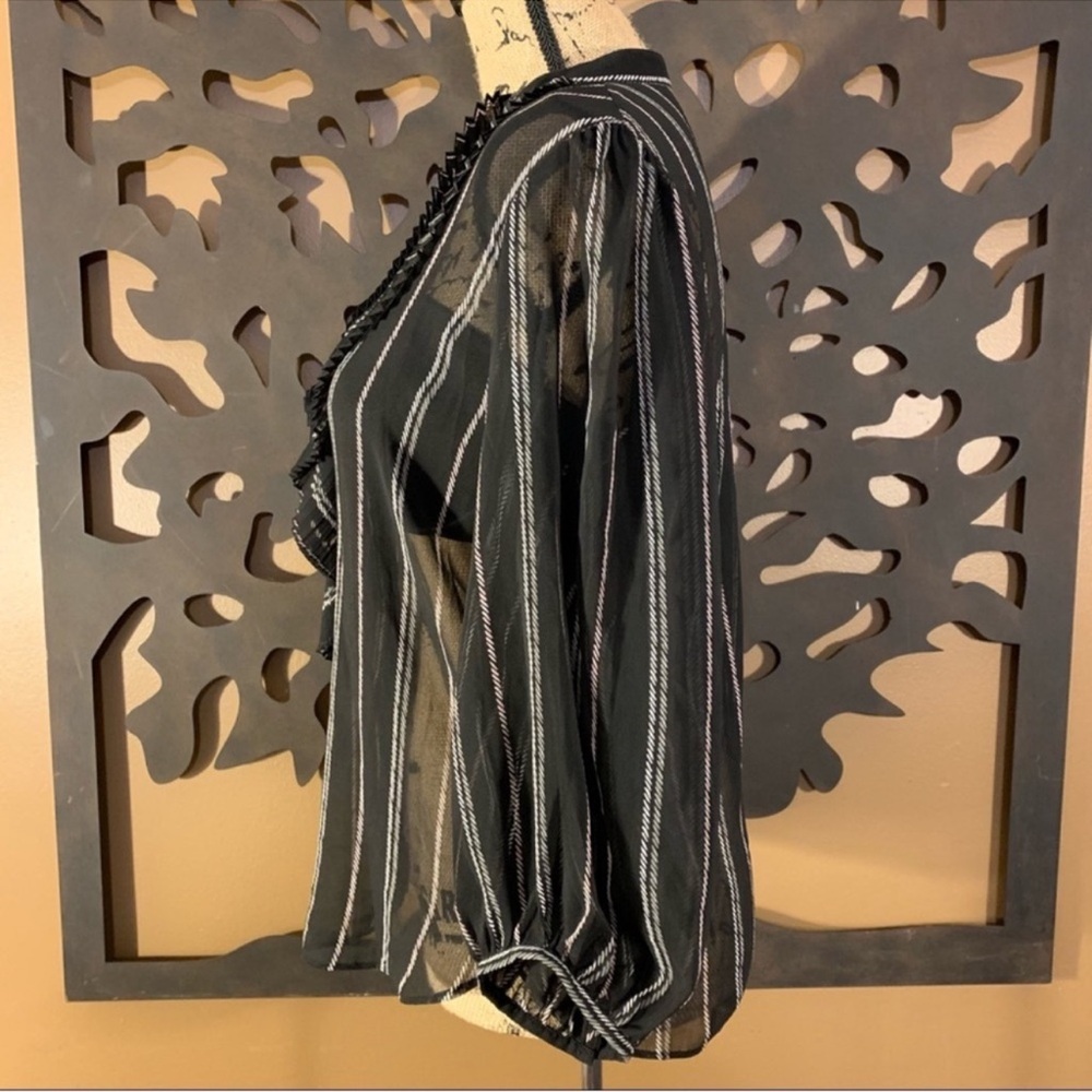 WHBM Sheer Ruffle Blouse - Picture 5 of 10